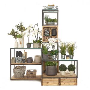 Warehouse-Houseplants---Cubes-and-Crates-Island-1